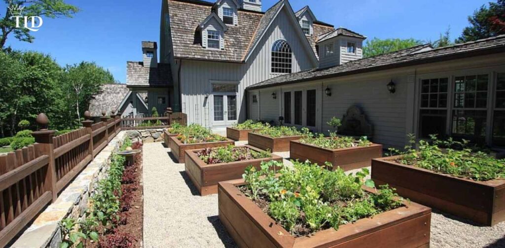 Alternatives to Pressure Treated Lumber for Vegetable Gardens