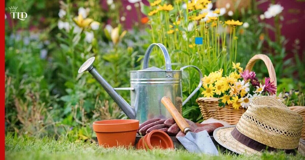 Creating a Sun-Safe Gardening Culture