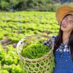 How to Get the Gardener to Wear His Sun Hat